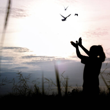 silhouette people making hand as bird and release birds to be freedom and free
